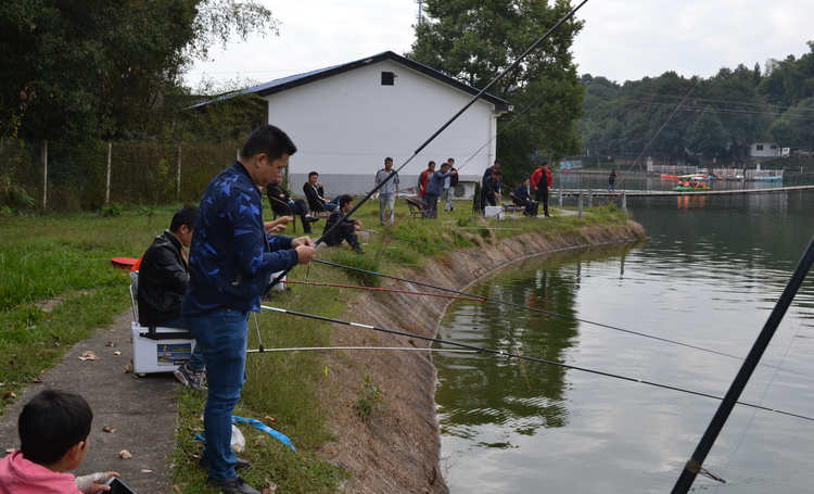 mg不朽情缘(中国游)官方网站